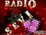 logo ραδιοφωνικού σταθμού Ράδιο Σέβη