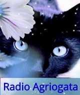 logo ραδιοφωνικού σταθμού Ράδιο Αγριόγατα