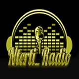logo ραδιοφωνικού σταθμού Nterti Radio